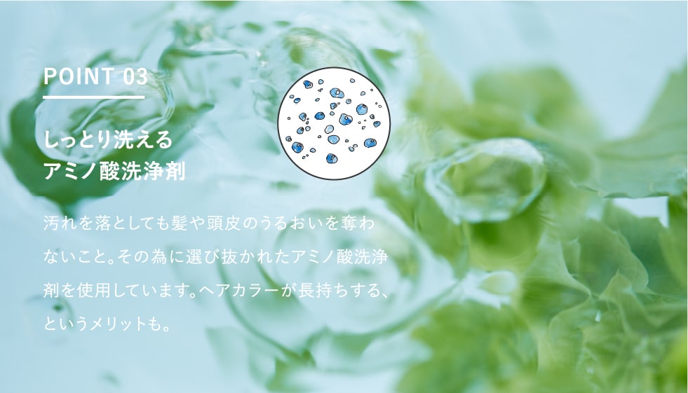 しっとり洗えるアミノ酸洗浄剤