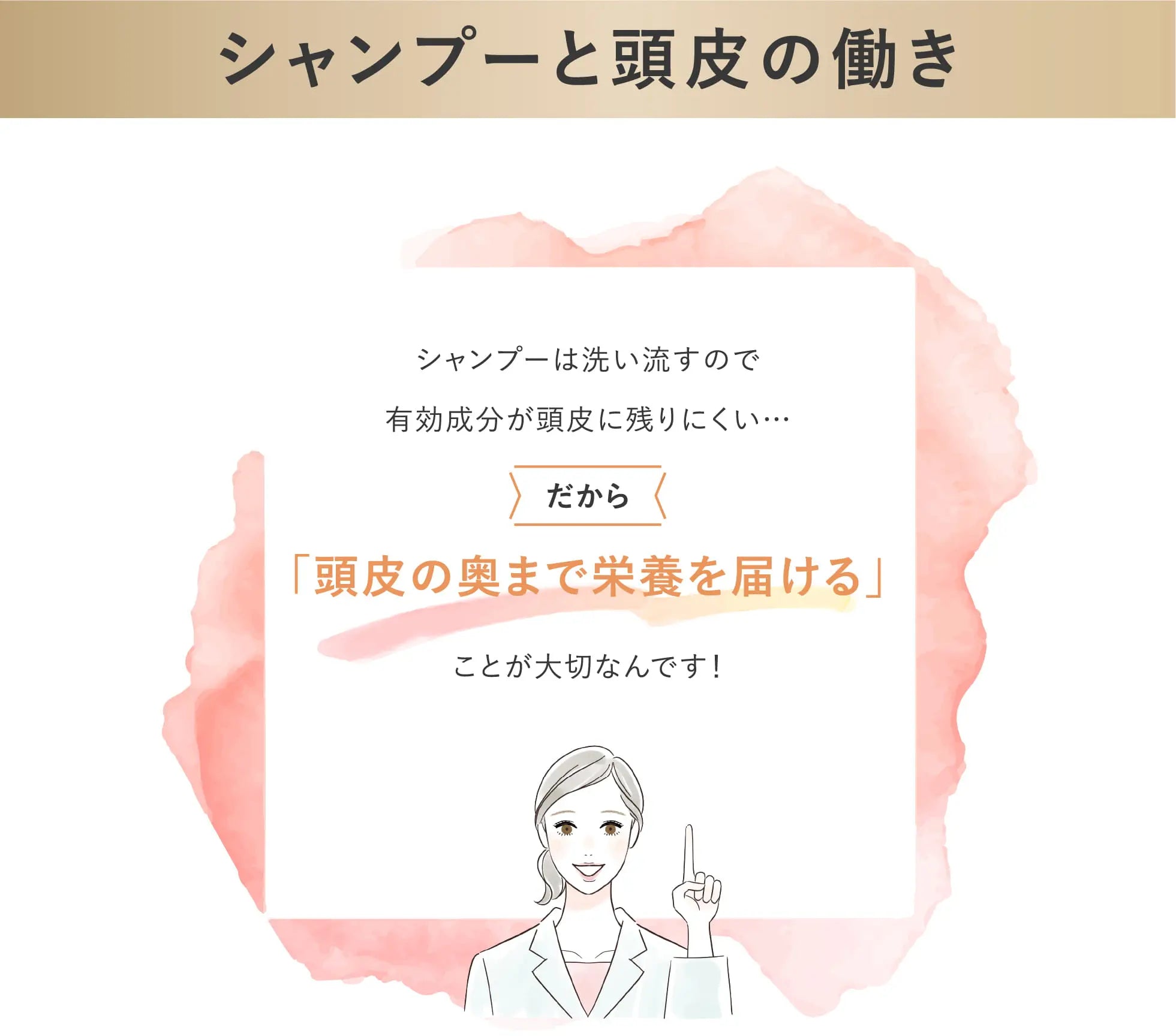 シャンプーと頭皮の働き