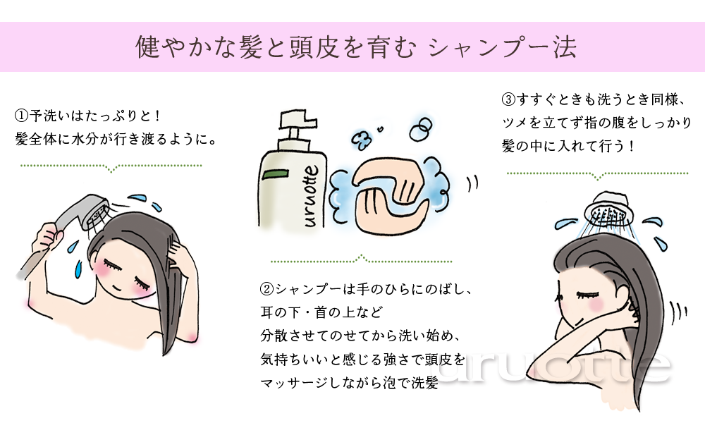 正しいシャンプー法