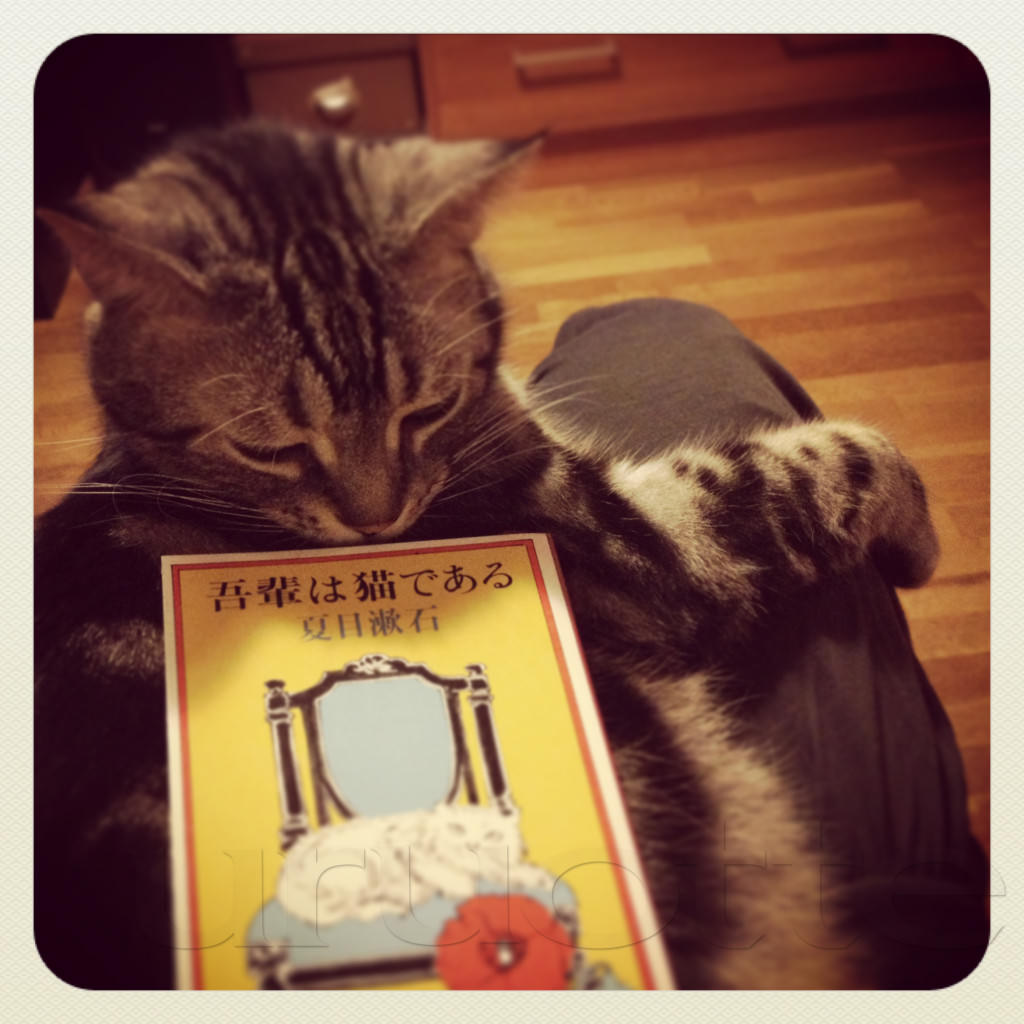 吾輩は猫である
