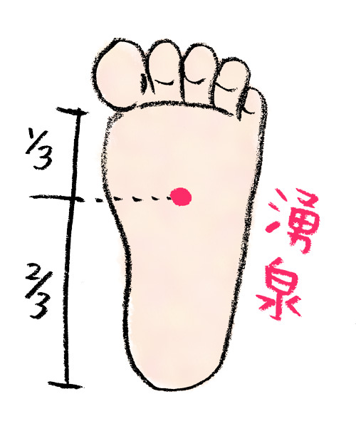 気力体力がわいてくる、腎をつかさどるツボ涌泉