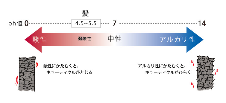 酸性~アルカリ性