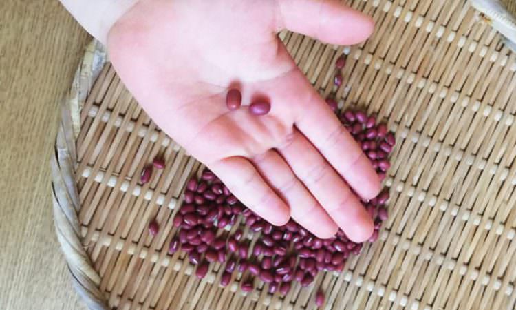 腎臓の働きをたすける「小豆」でデトックス【やまと薬膳】からだを整えるお弁当 vol.3