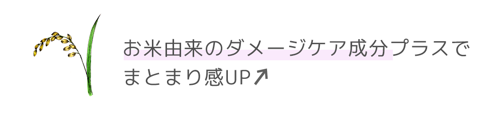お米由来のダメージケア成分