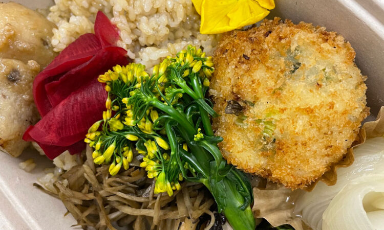 食物繊維でからだリセット からだを整えるお弁当 vol.29